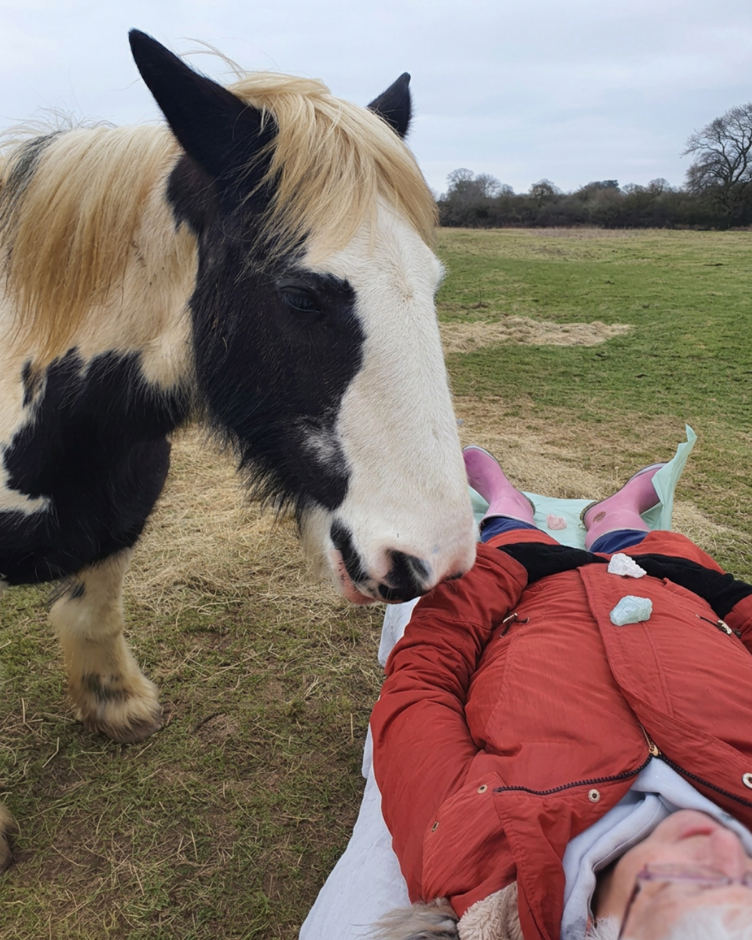 Crystals on the chest and Bali leaning in — horse-assisted healing as it really looks.